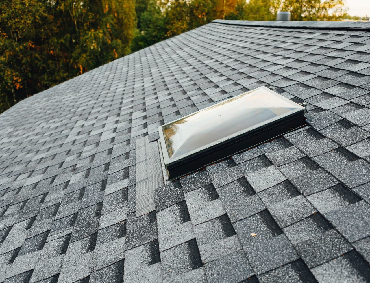 Check your Roof Shingles