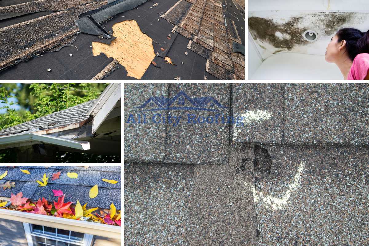 5 Signs of Roof Storm Damage